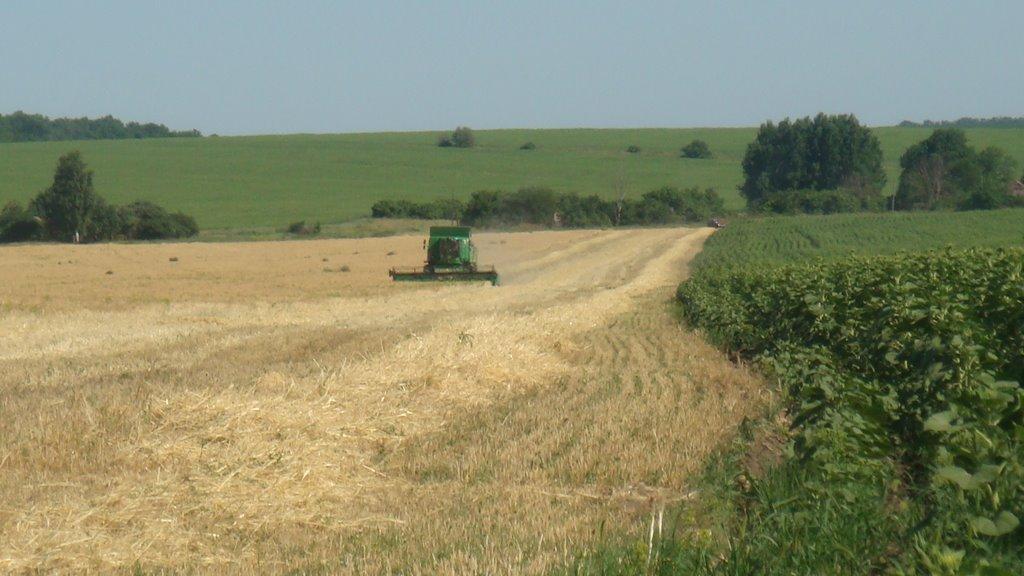 Огирівка з panoramio.com - Огировка