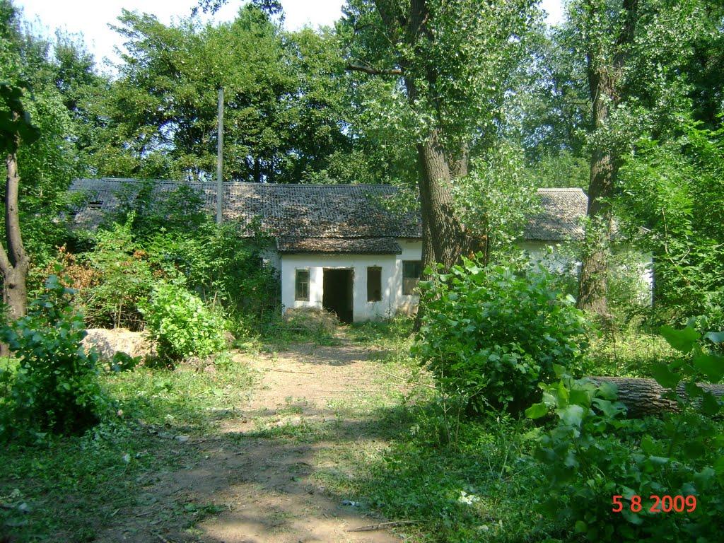 Велика Мочулка з panoramio.com - Велика Мочулка