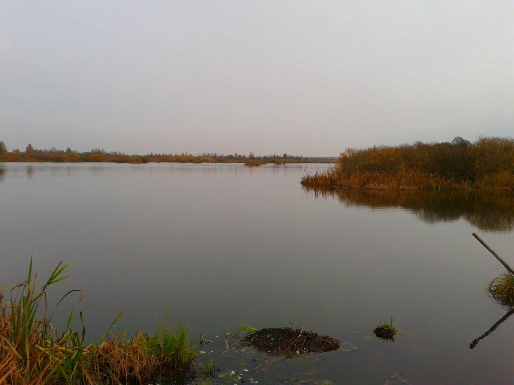 Дорогинка з panoramio.com - Дорогинка