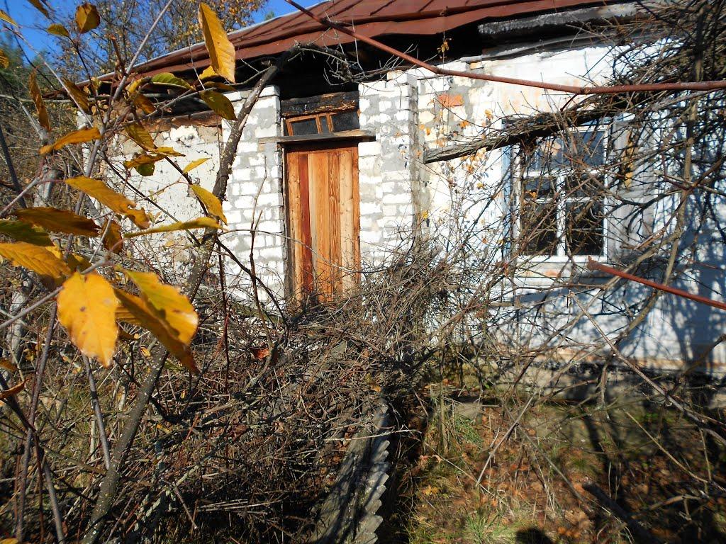 Софіївка з panoramio.com - Софиевка