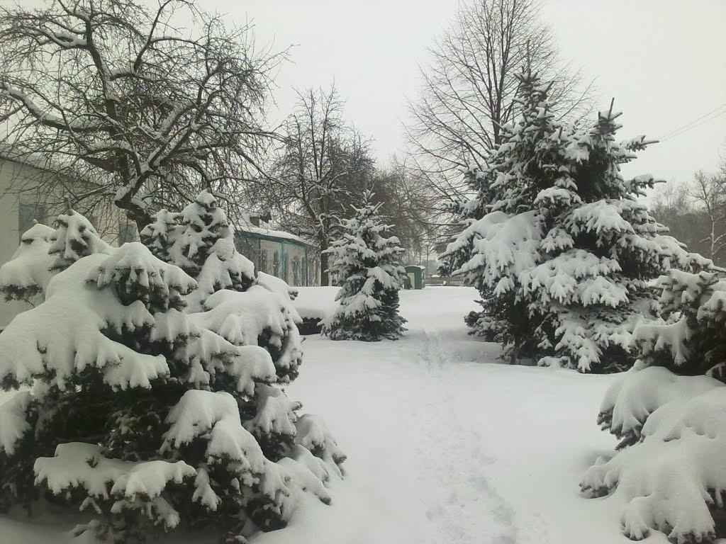 Петропавлівка з panoramio.com - Петропавлівка