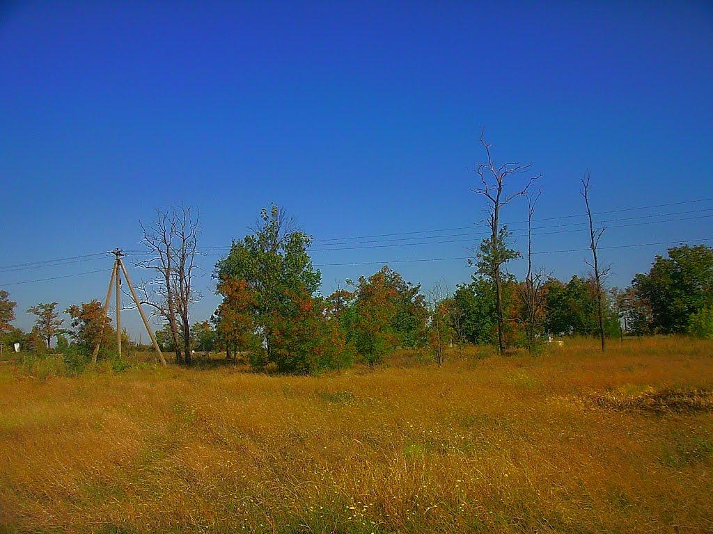 Чоботарка з panoramio.com - Чоботарка