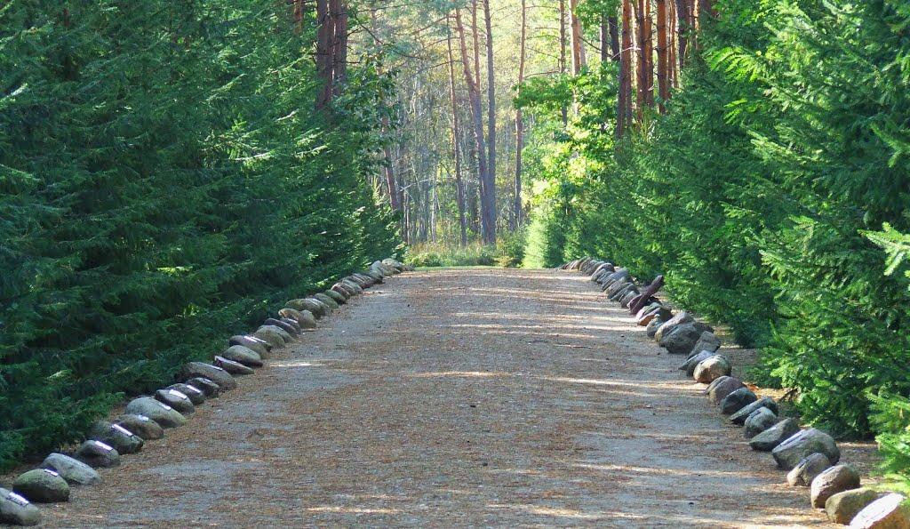 Кошари з panoramio.com - Кошари