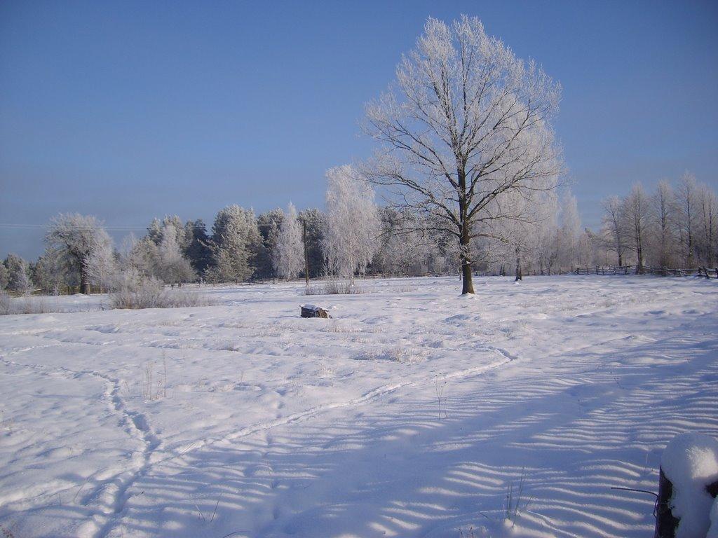 Перга з panoramio.com - Перга