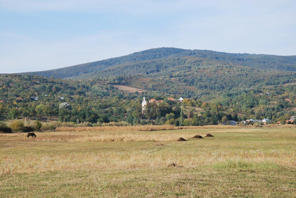 Ільниця з panoramio.com - Ільниця