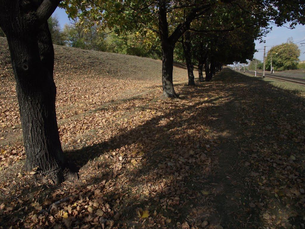 Артемівськ з panoramio.com (ч.2) - Артемівськ