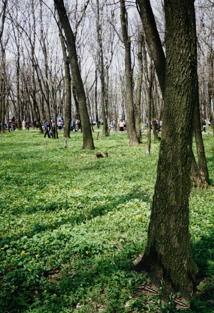 Сніжне з panoramio.com - Снежное
