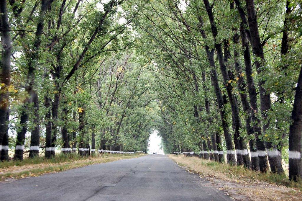 Кожухівка з panoramio.com - Кожухівка