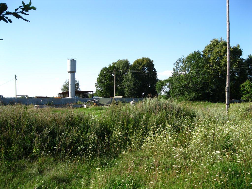 Берестовець з panoramio.com - Берестовець