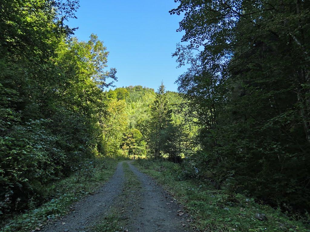 Нижня Рожанка з panoramio.com - Нижняя Рожанка