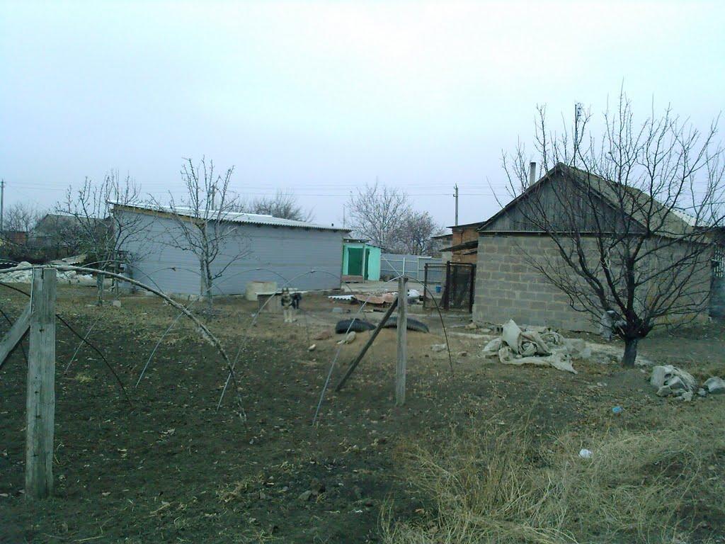 Андріївка з panoramio.com - Андріївка