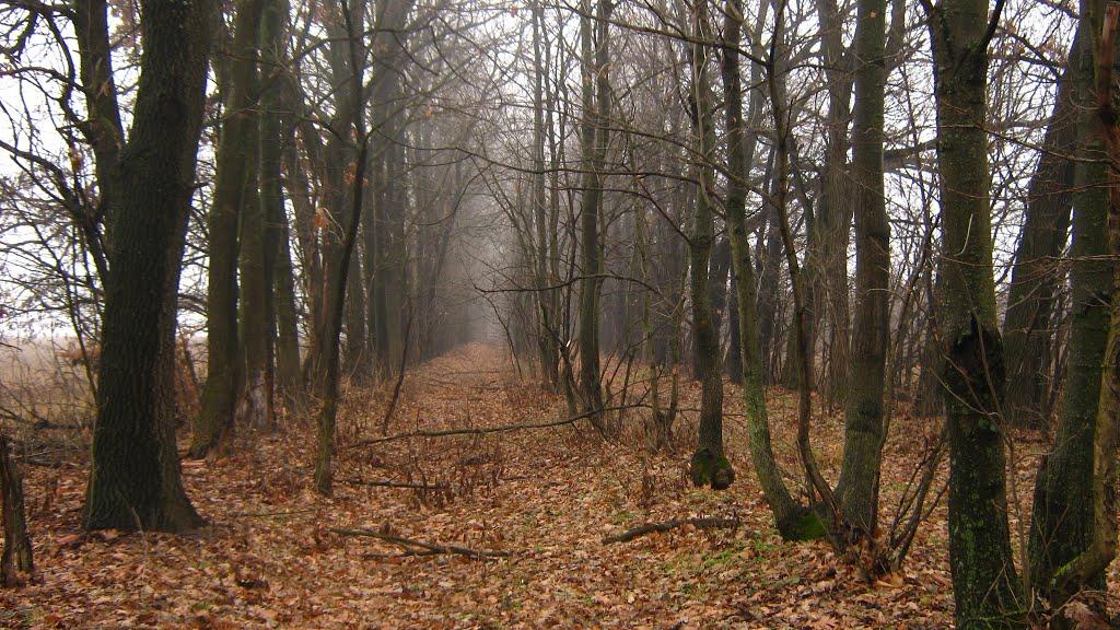 Чорномин з panoramio.com - Чорномин