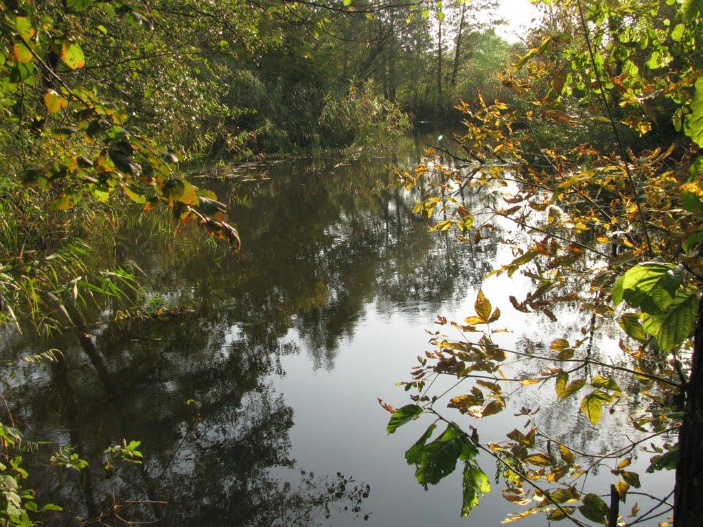 Троянівка з panoramio.com - Троянівка