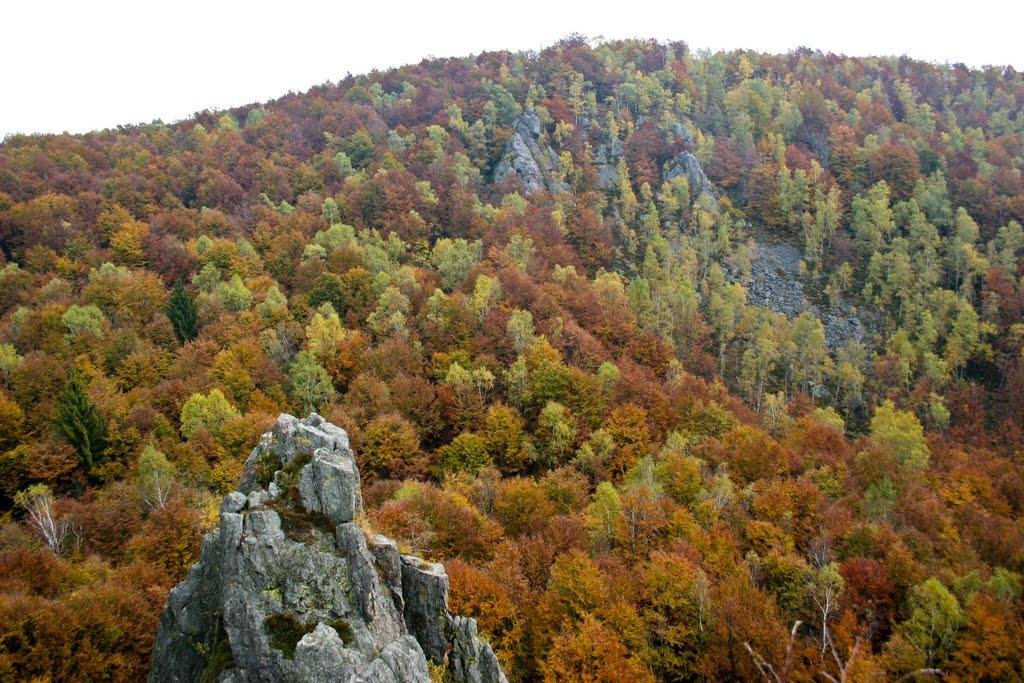 Підгірне з panoramio.com - Підгірне