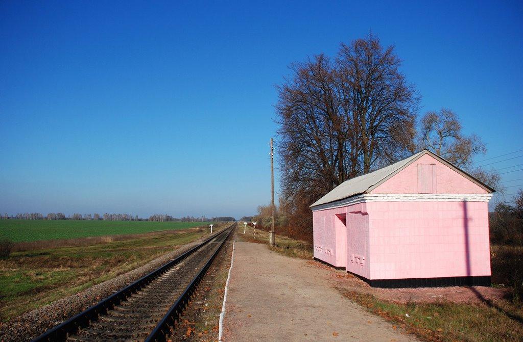 Сезьки з panoramio.com - Сезьки