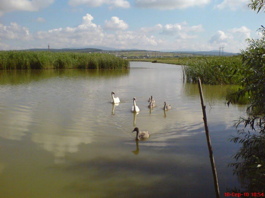 Підгорб з panoramio.com - Підгорб