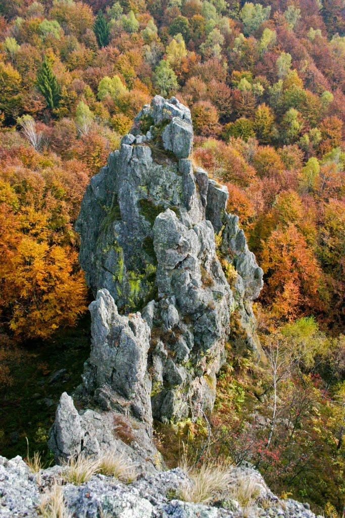 Підгірне з panoramio.com - Підгірне