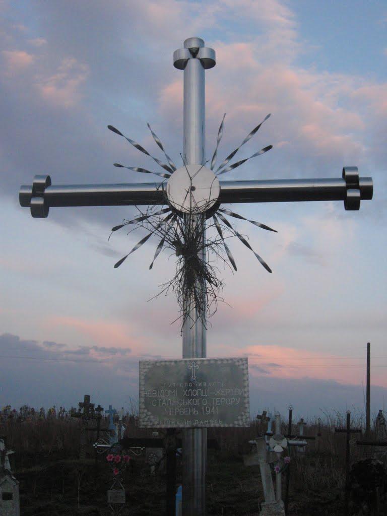 Трушевичі з panoramio.com - Трушевичи