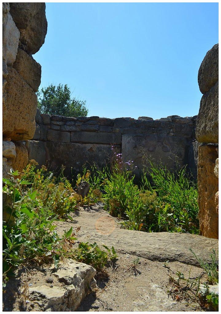 Знам'янське з panoramio.com - Знам'янське