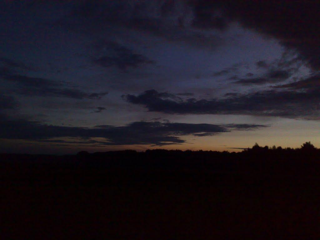 Свинарин з panoramio.com - Свинарин