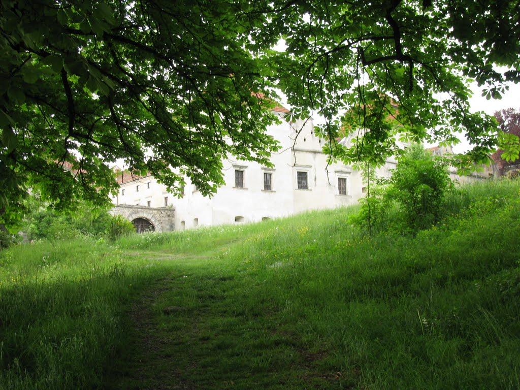 Свірж з panoramio.com - Свирж