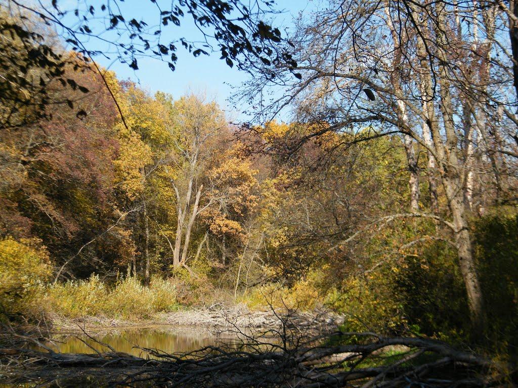 Піски з panoramio.com - Піски