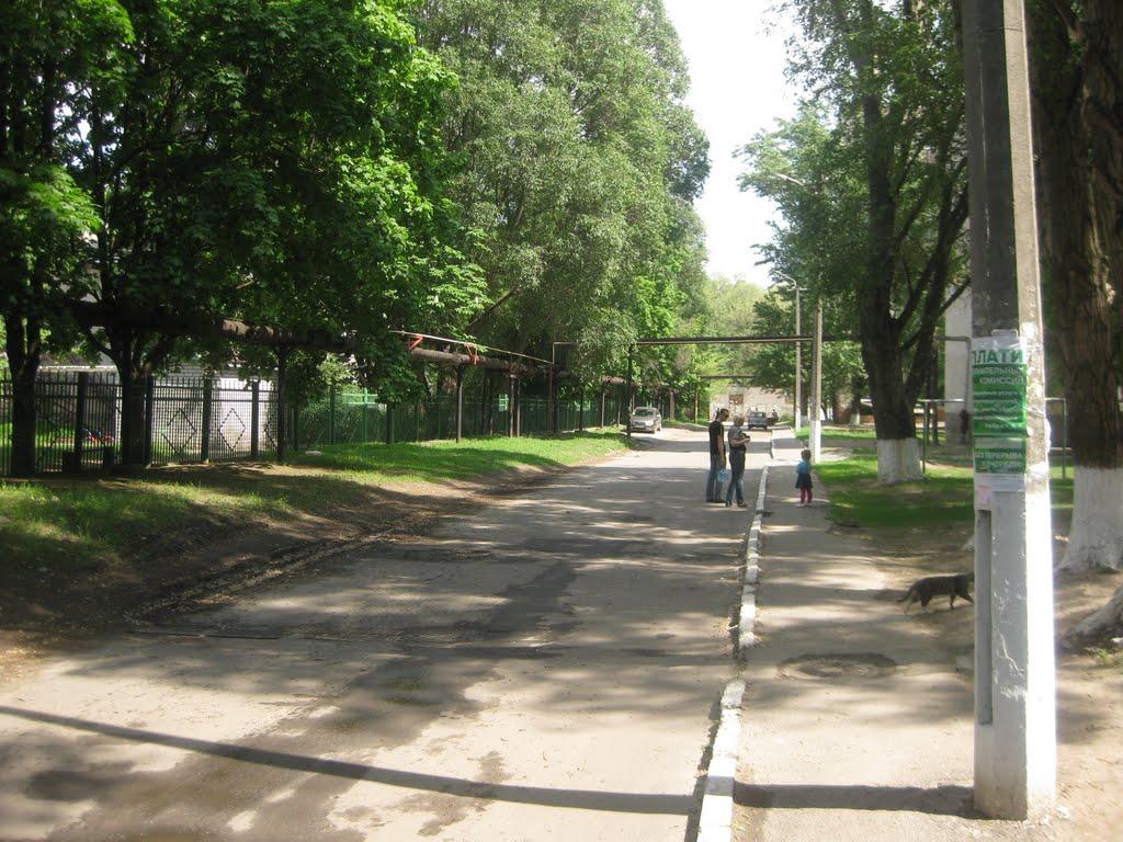 Ювілейне з panoramio.com - Yuvileyne