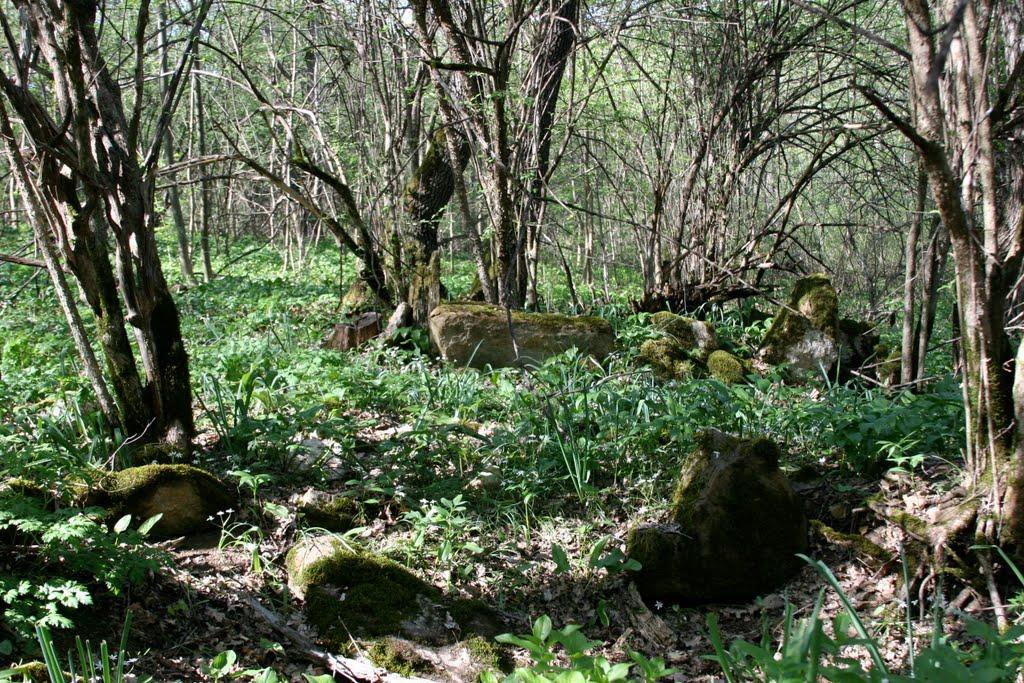 Синьокам'янка з panoramio.com - Синекаменка