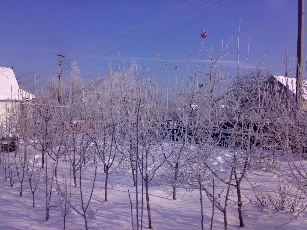 Петропавлівка з panoramio.com - Петропавлівка