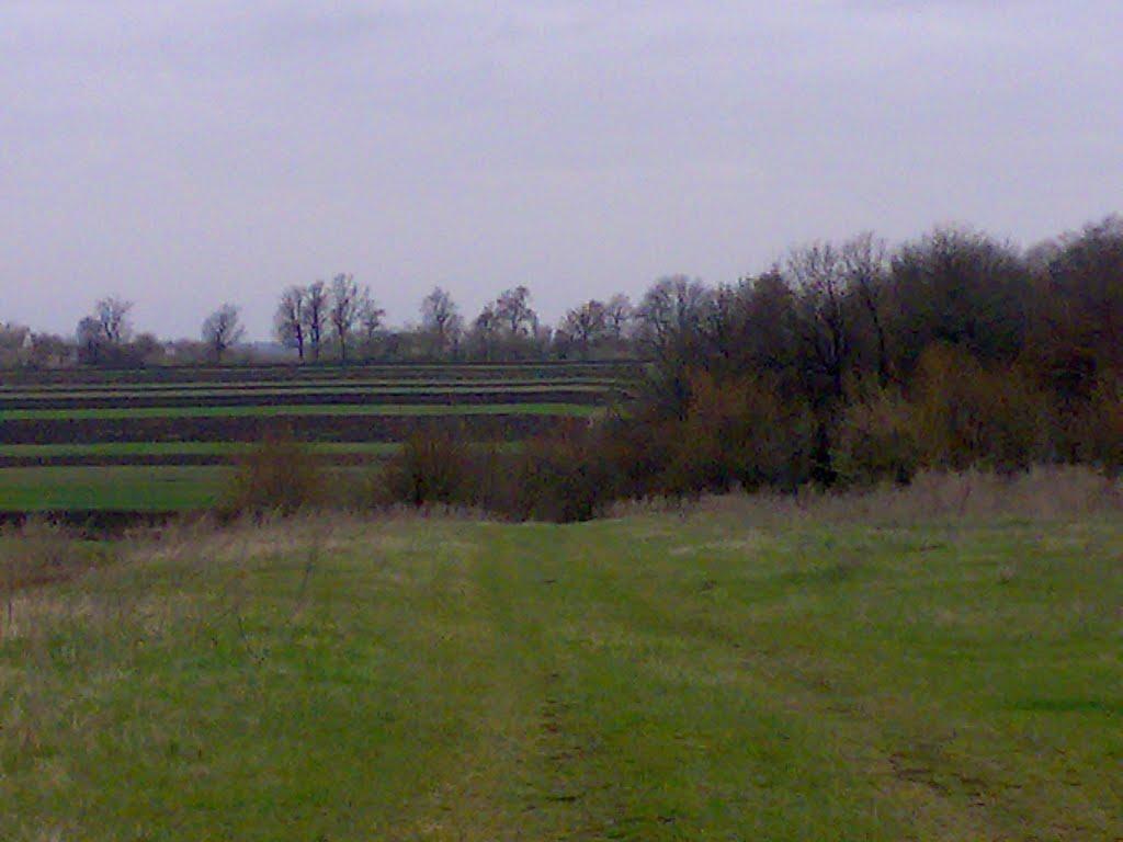 Вікнина з panoramio.com - Вікнина