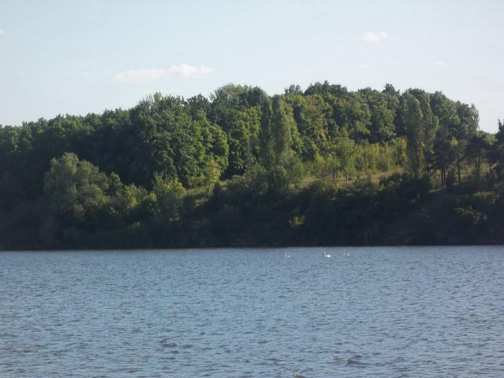 Скибинці з panoramio.com - Скибинці