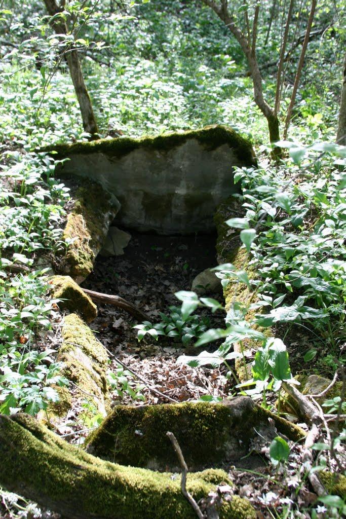 Синьокам'янка з panoramio.com - Синекаменка