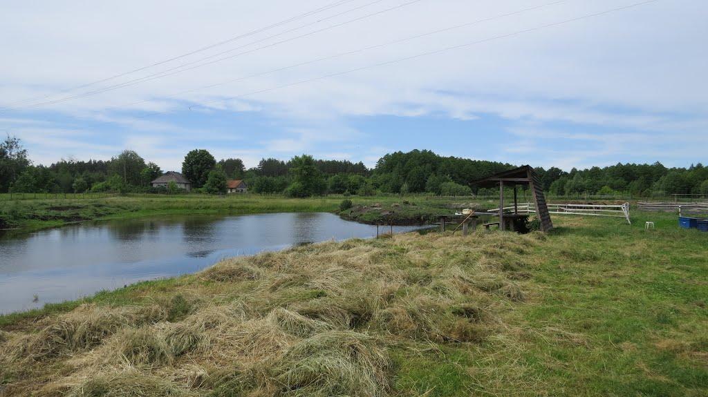 Софіївка з panoramio.com - Софиевка