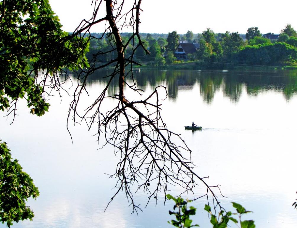 Буки з panoramio.com - Buky