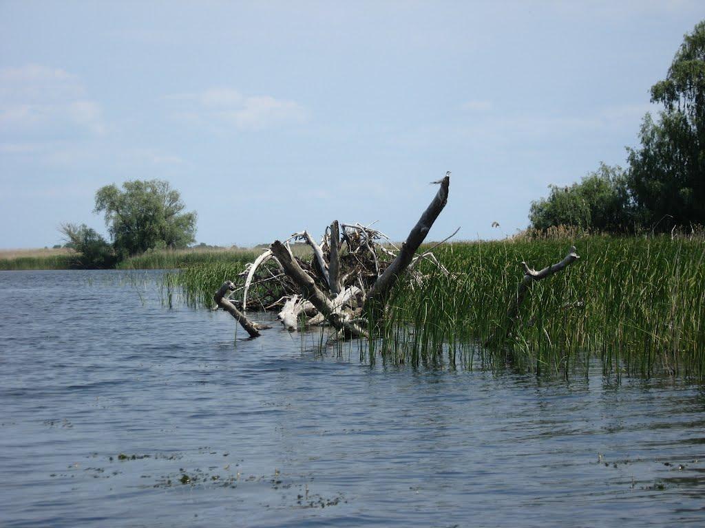 Свидівок з panoramio.com - Свидівок