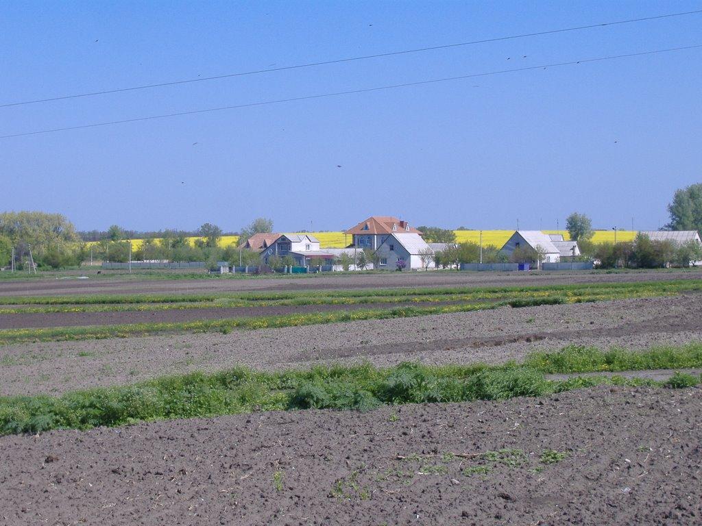 Почино-Софіївка з panoramio.com - Почино-Софеевка