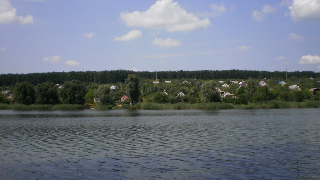 Липці з panoramio.com - Lyptsi