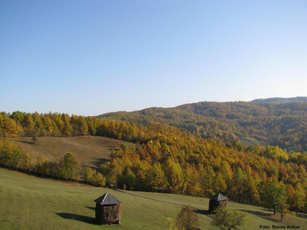 Великий Бичків з panoramio.com - Великий Бичків
