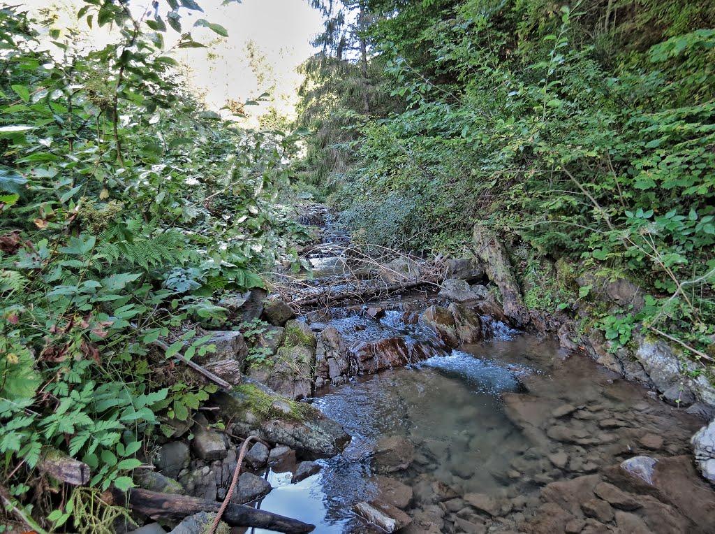 Нижня Рожанка з panoramio.com - Нижняя Рожанка