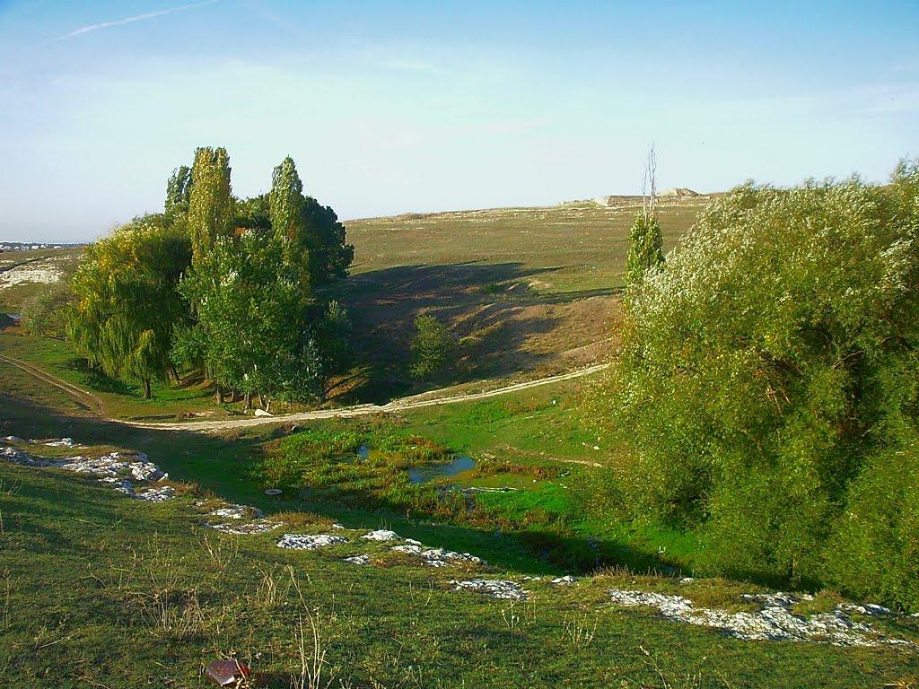 Трудове з panoramio.com - Трудовое