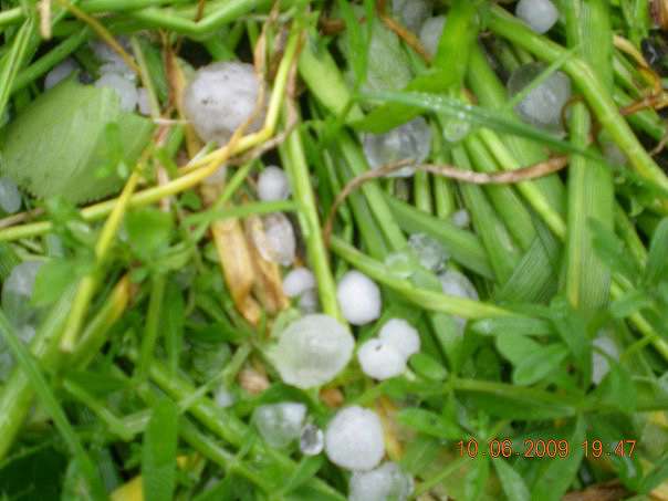 Наше село - Седлище