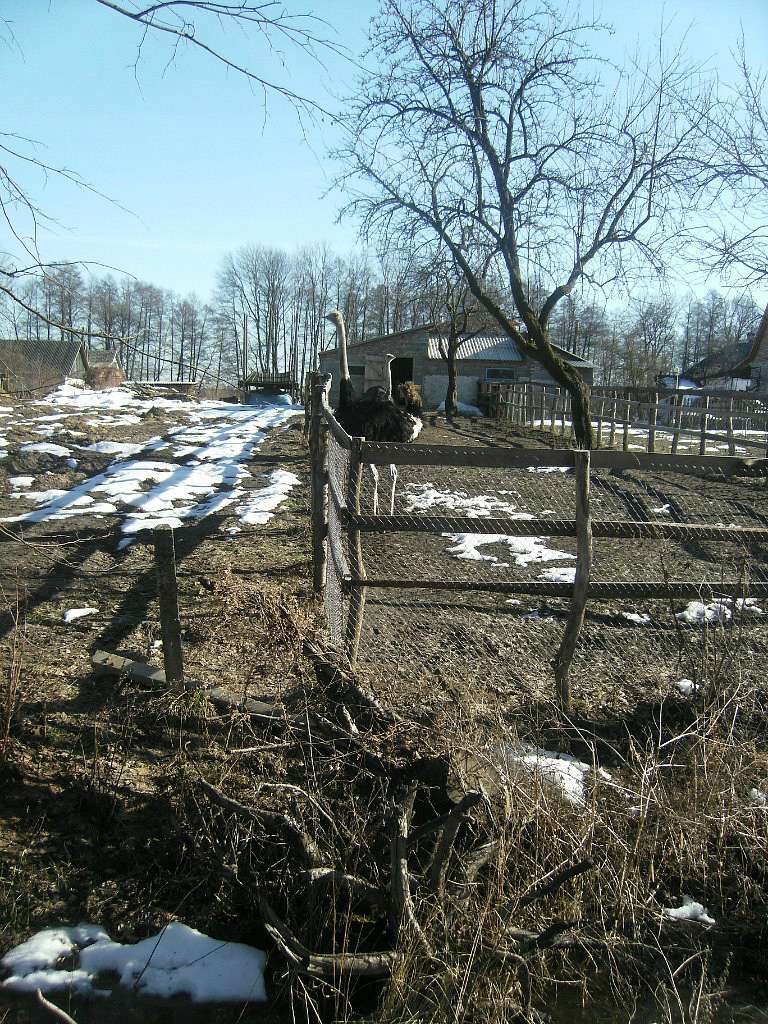 Наше село - Седлище