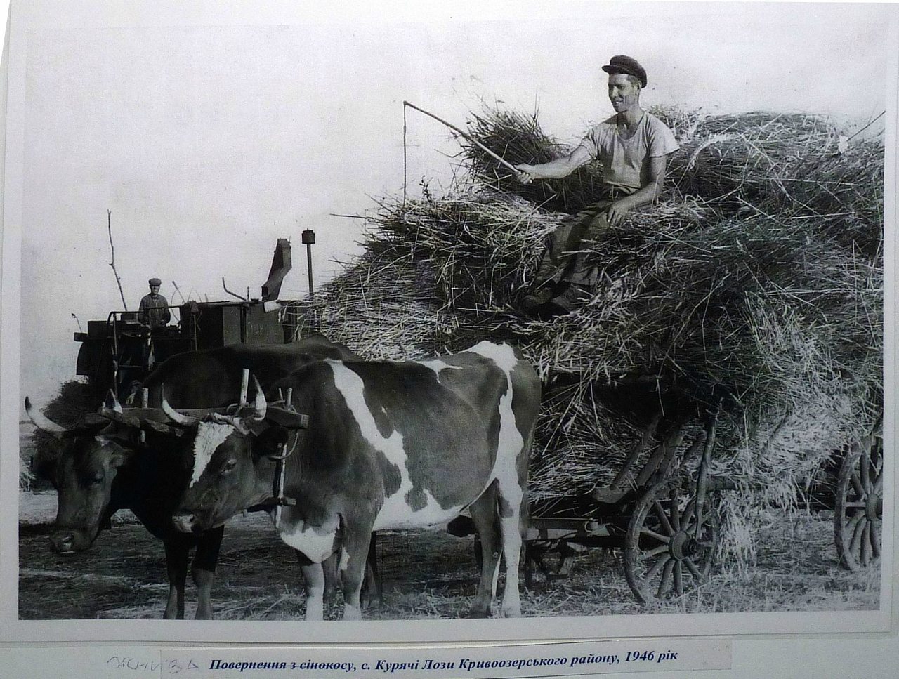 Старі фото - Курячі Лози