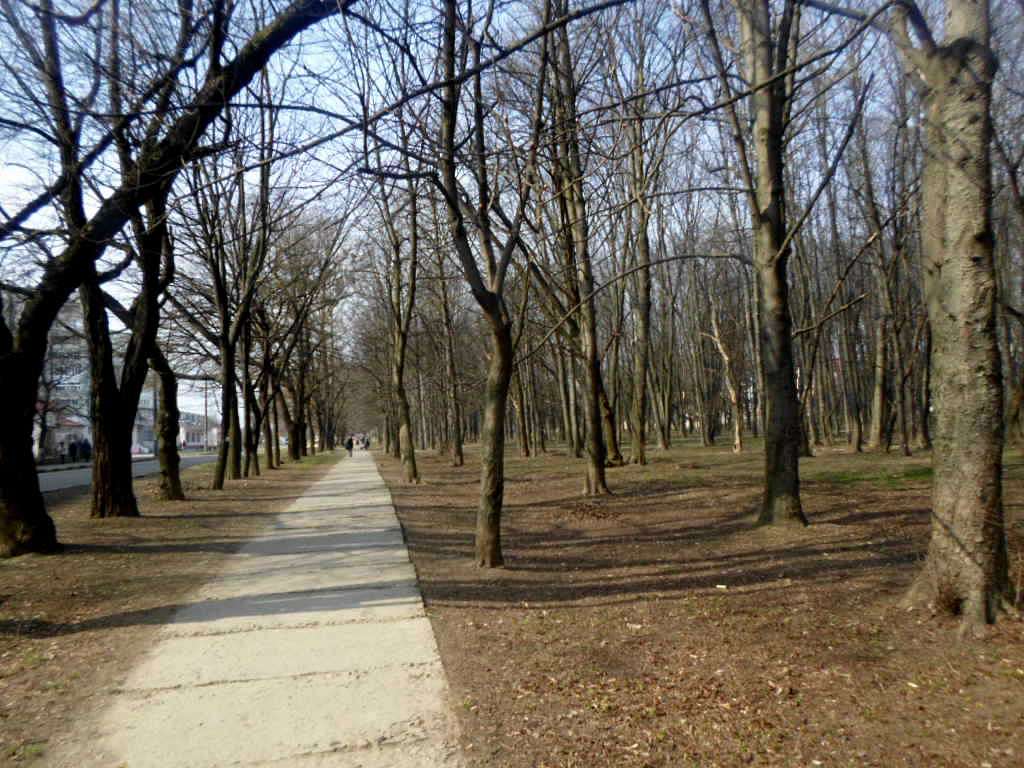 парки - Стрый