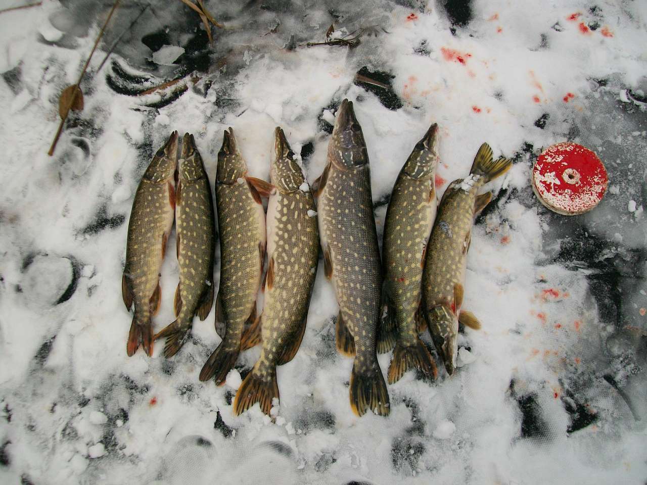 Рідний край - Тригір'я