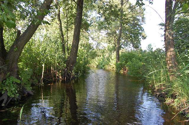 Стохід - Седлище
