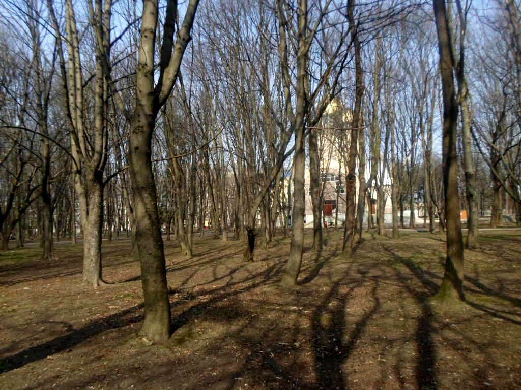 парки - Стрый
