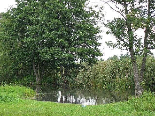 Стохід - Седлище