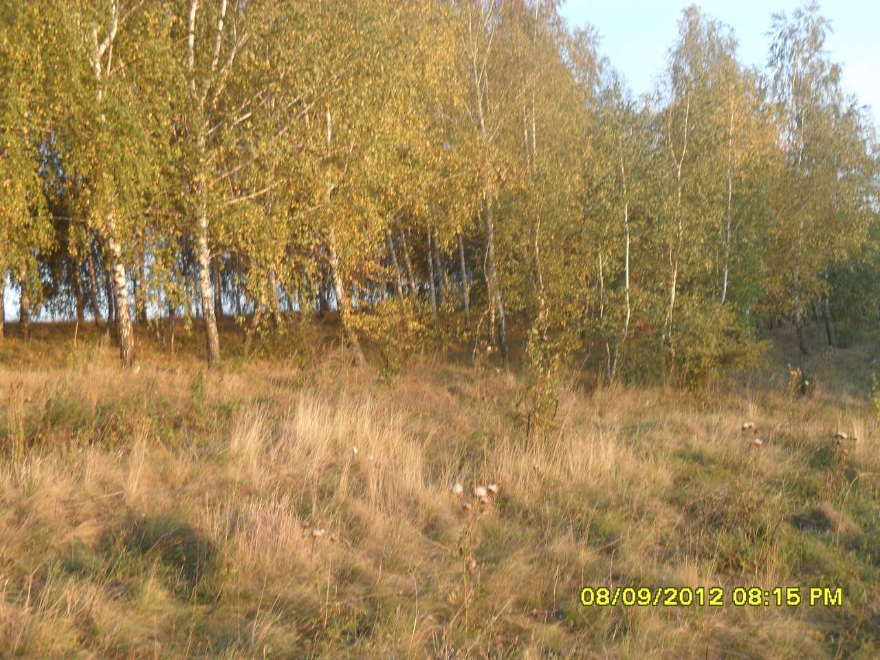 Джуринці з panoramio.com - Джуринці