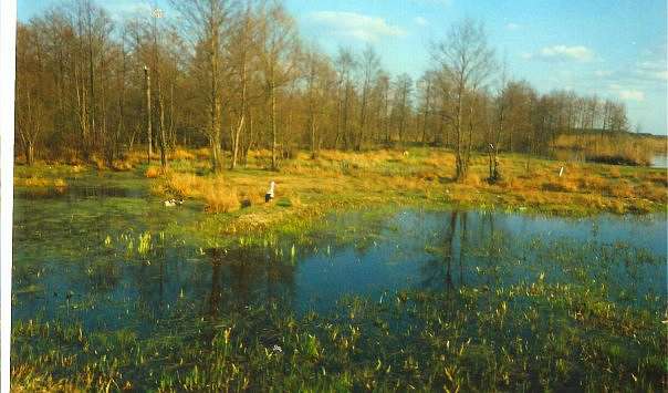 Наше село - Седлище
